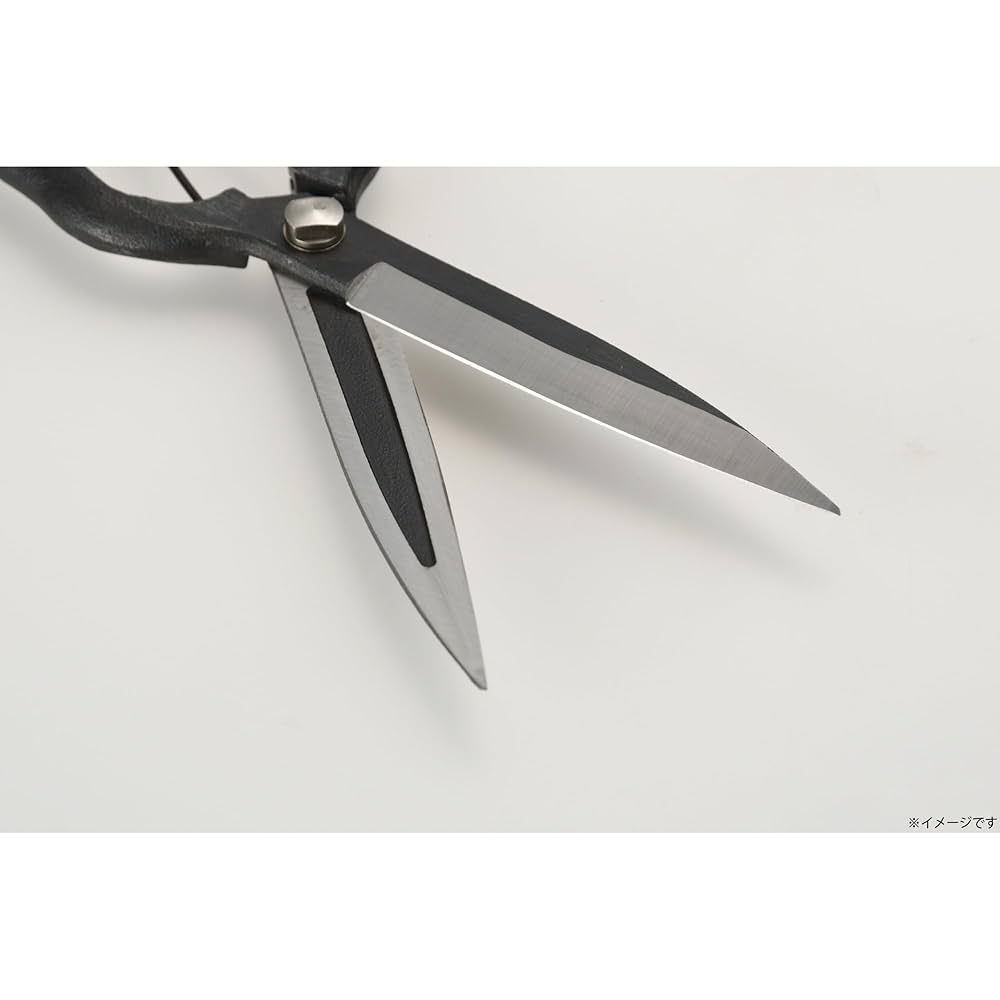 Amazon | 高儀(Takagi) 菊堂 葉刈鋏 270mm | 園芸用はさみ